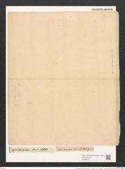 Navicula lanceolata var. phyllepta (Kuetz.) V.H. (de-Toni-Nr.: Genus 1, Species 141) Zeichnungen Sammlung Grunow (NHMW-BOT-W0366767)